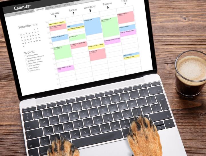 Now Available: Client App