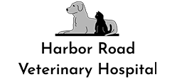 Harbor Road Veterinary Hospital